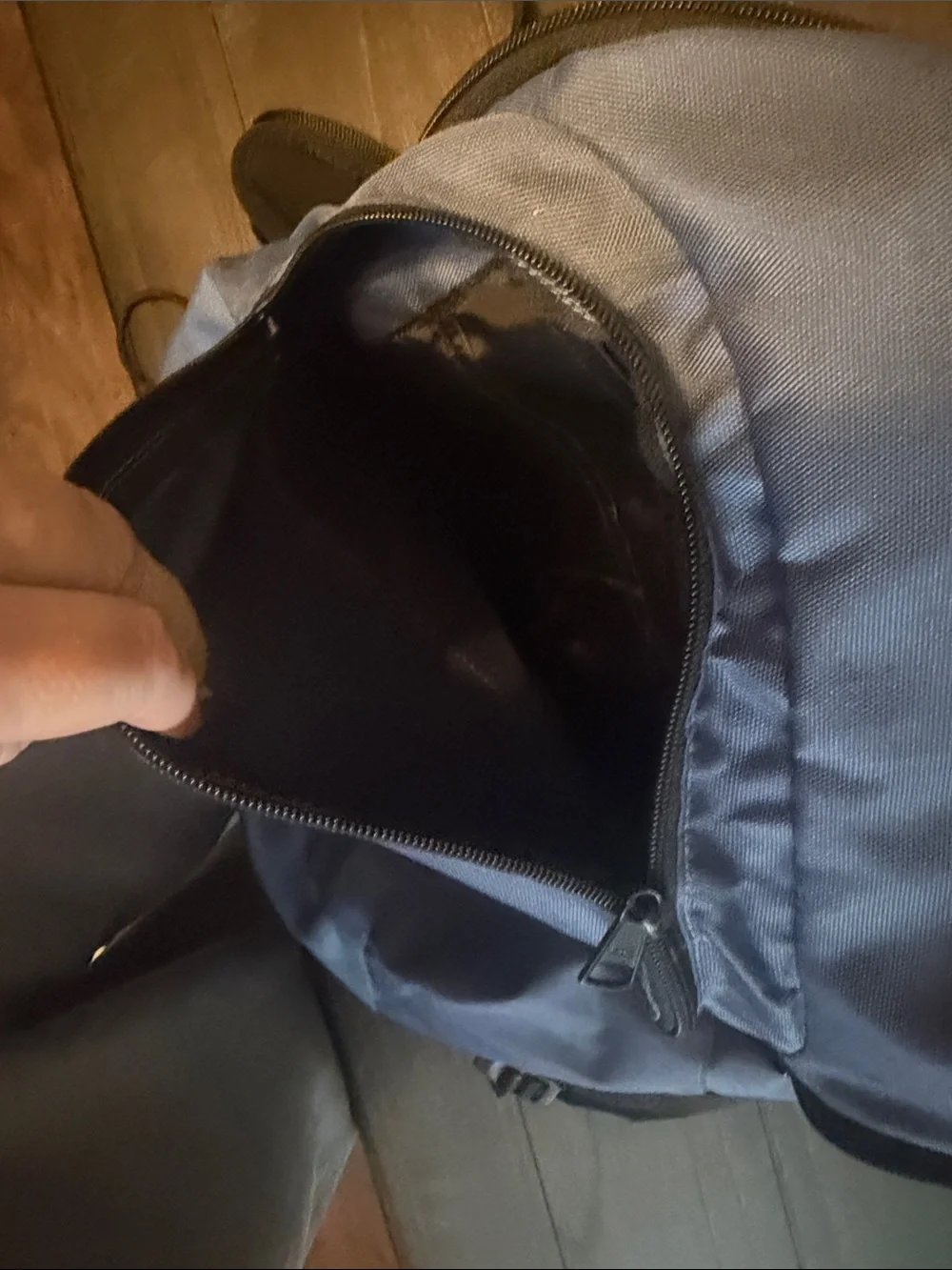 Vans Blue and Black Everyday Backpack